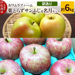 yӂ邳Ɣ[Łzyr[Ly[zy25N11`z tƂ炸 Tӂ Zbg 6kg Jt@[ 󂠂ystz X ʕ t[c ь S 