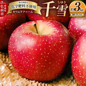 yӂ邳Ɣ[Łzy25N10`z  3kg Jt@[ pystz X ʕ t[c ь S  \