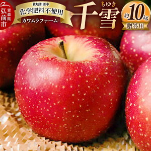 yӂ邳Ɣ[Łzy25N10`z  10kg Jt@[ pystz X ʕ t[c ь S  \