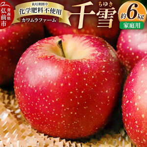yӂ邳Ɣ[Łzy25N10`z  6kg Jt@[ ƒpystz X ʕ t[c ь S  \
