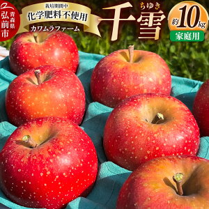 yӂ邳Ɣ[Łz  10kg Jt@[ ƒp X ʕ t[c ь S 