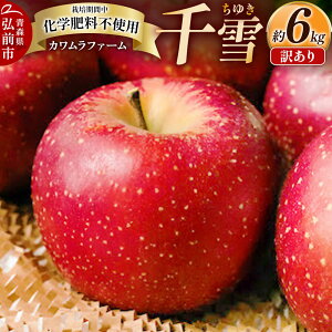 yӂ邳Ɣ[Łzy25N10`z  6kg Jt@[ 󂠂ystz X ʕ t[c ь S  \