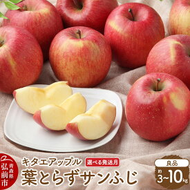 【ふるさと納税】りんご【26年12月〜27年3月発送】葉取らずサンふじ【良品】【選べる約 3kg／5kg／10kg】キタエアップル 先行受付 クール便 青森県 弘前市 果物 フルーツ 林檎 リンゴ くだもの ギフト 贈り物 [先行予約 クール便]