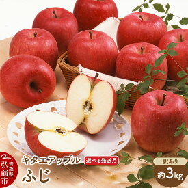 【ふるさと納税】りんご【選べる発送月 27年4月／5月 クール便発送】ふじ【訳あり】約3kg【CA貯蔵】キタエアップル 先行受付 青森県 弘前市 果物 フルーツ 林檎 リンゴ くだもの ギフト 贈り物 青森県 弘前市 [先行予約 クール便 産地直送]