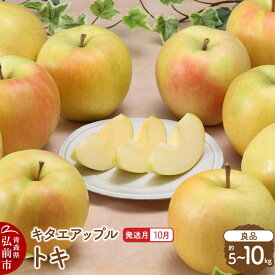 【ふるさと納税】りんご【26年10月発送】トキ【良品】【選べる約 5kg／10kg】キタエアップル 青森県 弘前市 [トキ りんご 贈り物 アップル おいしい 果実 果物 黄色 美味 林檎]