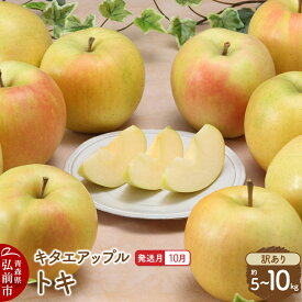 【ふるさと納税】りんご【26年10月発送】トキ【訳あり】【選べる約 5kg／10kg】キタエアップル 青森県 弘前市 [トキ りんご 訳あり 家庭用 アップル おいしい 果実 果物 黄色 美味 林檎]