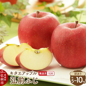 【ふるさと納税】りんご【26年10月発送】弘前ふじ【訳あり】【選べる約 5kg／10kg】キタエアップル 青森県 弘前市 [弘前ふじ りんご 訳あり 家庭用 アップル おいしい 果実 果物 赤色 美味 林檎]