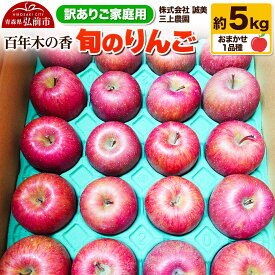 【ふるさと納税】【25年12月〜発送】りんご 【訳あり】家庭用 百年木の香 三上農園 旬のりんご 約5kg 品種おまかせ1品種【先行受付】 青森 果物 フルーツ 林檎 リンゴ くだもの 不揃い 規格外 予約