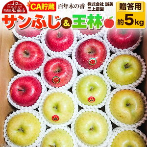 yӂ邳Ɣ[Łzy26N4z yCAzp SN؂̍ O_ Tӂ 5kg (14`20ʒx)ystz X ʕ t[c ь S  \