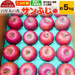 yӂ邳Ɣ[Łzy26N4z yCAzy󂠂zƒp SN؂̍ O_ Tӂ 5kg (14`20ʒx)ystz X ʕ t[c ь S  s KiO