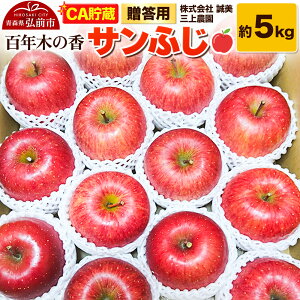 yӂ邳Ɣ[Łzy26N4z yCAzp SN؂̍ O_ Tӂ 5kg (14`20ʒx)ystz X ʕ t[c ь S  \