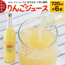 【ふるさと納税】りんごジュース 720ml × 6本