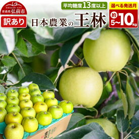 【ふるさと納税】りんご【選べる 26年11月〜27年3月 発送】王林【訳あり】【選べる約 5kg／10kg】平均糖度13度以上 クール便 青森県 弘前市 果物 フルーツ 林檎 リンゴ くだもの 不揃い 規格外 [先行予約 家庭用 産地直送 アップル]