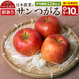 【ふるさと納税】りんご 平均糖度12度以上！ サンつがる 訳あり【選べる約 5kg／10kg×8月クール便／9月クール便 発送】青森県産 果物 フルーツ 林檎 リンゴ くだもの 不揃い 規格外 [家庭用 産地直送 アップル 青森県 弘前市]