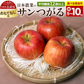 【ふるさと納税】りんご 平均糖度12度以上！ サンつがる おもてなし用【選べる約 5kg／10kg×8月クール便／9月クール便 発送】クール便 青森県産 果物 フルーツ 林檎 リンゴ くだもの [産地直送 アップル 青森県 弘前市]