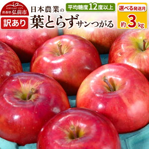 yӂ邳Ɣ[Łzyr[Ly[z ystzϓx12xȏI tƂ炸T 3kg 󂠂yIׂ锭zX ʕ t[c ь S  s Ki