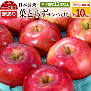 yӂ邳Ɣ[Łzyr[Ly[z ystzϓx12xȏI tƂ炸T 10kg 󂠂yIׂ锭zX ʕ t[c ь S  s K