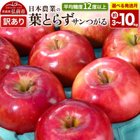 【ふるさと納税】りんご 葉とらずサンつがる【訳あり】平均糖度12度以上【選べる約 3kg／5kg／10kg×26年9月クール便／26年10月 発送】青森県産 果物 フルーツ 林檎 リンゴ くだもの 不揃い 規格外 [家庭用 産地直送 アップル 青森県]
