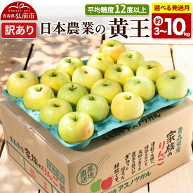 【ふるさと納税】りんご 黄王【訳あり】平均糖度12度以上【選べる約 5kg／10kg×26年 8月／9月 クール便発送】青森県産 果物 フルーツ 林檎 リンゴ くだもの 不揃い 規格外 [家庭用 産地直送 アップル 青森県 弘前市]