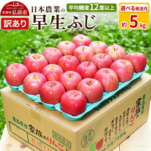 yӂ邳Ɣ[Łzyr[Ly[z ystzϓx12xȏI ӂ 5kg 󂠂yIׂ锭zX ʕ t[c ь S  s KiO \