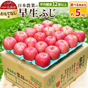 yӂ邳Ɣ[Łzyr[Ly[z ystzϓx12xȏI ӂ 5kg ĂȂpyIׂ锭zX ʕ t[c ь S  \