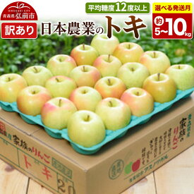 【ふるさと納税】りんご【選べる 26年10月〜27年2月 発送】トキ【訳あり】【選べる約 5kg／10kg】平均糖度12度以上 青森県 弘前市 果物 フルーツ 林檎 リンゴ くだもの 不揃い 規格外 [先行受付 家庭用 産地直送 アップル 青森県]