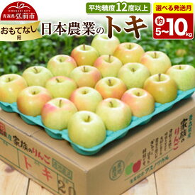 【ふるさと納税】りんご【選べる 26年10月〜27年2月 発送】トキ【おもてなし用】【選べる約 5kg／10kg】平均糖度12度以上 青森県 弘前市 果物 フルーツ 林檎 リンゴ くだもの [先行受付 産地直送 アップル 青森県 弘前市]