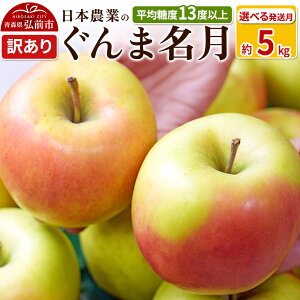 yӂ邳Ɣ[Łzyr[Ly[z ystzϓx13xȏI ܖ 5kg 󂠂yIׂ锭zX ʕ t[c ь S  s KiO \