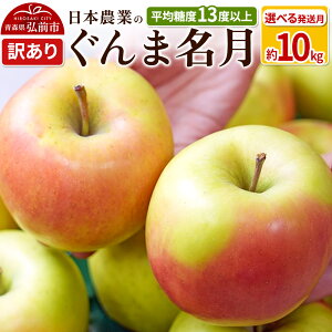 yӂ邳Ɣ[Łzyr[Ly[z ystzϓx13xȏI ܖ 10kg 󂠂yIׂ锭zX ʕ t[c ь S  s KiO \