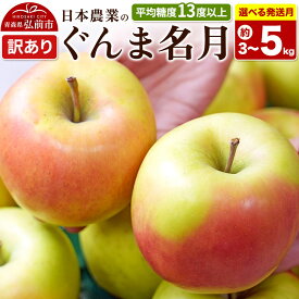 【ふるさと納税】りんご【選べる 27年4月／5月 クール便発送】ぐんま名月【訳あり】【選べる約 3kg／5kg】平均糖度13度以上【CA貯蔵】青森県 弘前市 果物 フルーツ 林檎 リンゴ くだもの 不揃い 規格外 [先行受付 家庭用 産地直送 アップル]