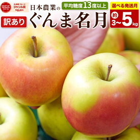 【ふるさと納税】りんご【選べる 27年4月／5月 クール便発送】ぐんま名月【訳あり】【選べる約 3kg／5kg】平均糖度13度以上【CA貯蔵】青森県 弘前市 果物 フルーツ 林檎 リンゴ くだもの 不揃い 規格外 [先行受付 家庭用 産地直送 アップル]