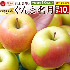 【ふるさと納税】りんご【選べる 26年11月〜27年3月 発送】ぐんま名月【おもてなし用】【選べる約 3kg／5kg／10kg】平均糖度13度以上 青森県 弘前市 果物 フルーツ 林檎 リンゴ くだもの [先行受付 産地直送 アップル 青森県 弘前市]
