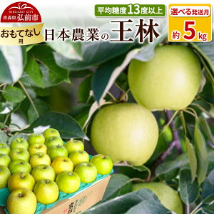 yӂ邳Ɣ[Łzyr[Ly[z ystzϓx13xȏI  5kg ĂȂpyIׂ锭zX ʕ t[c ь S  \