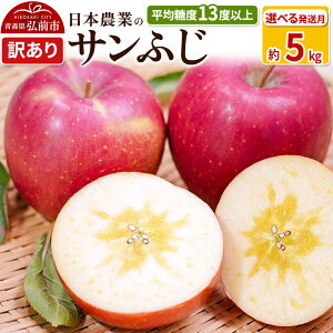 yӂ邳Ɣ[Łzyr[Ly[z ystzϓx13xȏI Tӂ 5kg 󂠂yIׂ锭zX ʕ t[c ь S  s KiO \