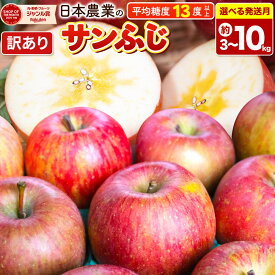【ふるさと納税】りんご【選べる 26年11月〜27年3月 発送】サンふじ【訳あり】【選べる約 3kg／5kg／10kg】平均糖度13度以上 クール便 青森県 弘前市 果物 フルーツ 林檎 リンゴ くだもの 不揃い 規格外 [先行予約 クール便 家庭用]