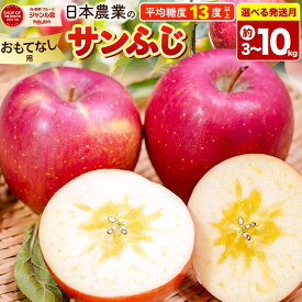 【ふるさと納税】りんご【選べる 26年11月〜27年3月 発送】サンふじ【おもてなし用】【選べる約 3kg／5kg／10kg】平均糖度13度以上 クール便 青森県 弘前市 果物 フルーツ 林檎 リンゴ くだもの [先行予約 産地直送 アップル 青森県]
