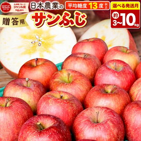 【ふるさと納税】りんご【選べる 26年11月〜27年1月 発送】サンふじ【贈答用】【選べる約 3kg／5kg／10kg】平均糖度13度以上 青森県 弘前市 果物 フルーツ 林檎 リンゴ くだもの 贈り物 ギフト [先行予約 産地直送 アップル 青森県]
