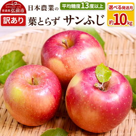 【ふるさと納税】【レビューキャンペーン】りんご 【先行受付】平均糖度13度以上！ 葉とらずサンふじ 約10kg 訳あり【選べる発送月】青森 果物 フルーツ 林檎 リンゴ くだもの 不揃い 規格外 予約
