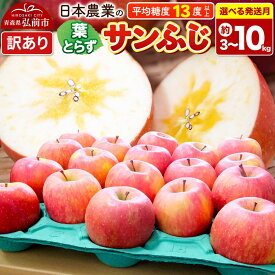 【ふるさと納税】りんご 平均糖度13度以上！ 葉とらずサンふじ 約5kg／約10kg 訳あり【選べる容量＆発送月】青森 果物 フルーツ 林檎 リンゴ くだもの 不揃い 規格外