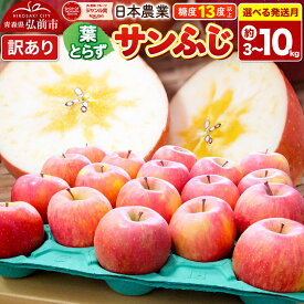 【ふるさと納税】りんご 葉とらずサンふじ 【訳あり】 【選べる約3kg〜10kg×27年 1月〜3月 発送】 平均糖度13度以上 青森県産 [りんご 林檎 アップル 産地直送 葉とらず サンふじ 訳あり 自宅用 家庭用 果物 フルーツ くだもの]