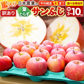 【ふるさと納税】りんご 葉とらずサンふじ 【訳あり】 【選べる約3kg〜10kg×26年 11月／12月 発送】 蜜入り 平均糖度13度以上 青森県産 [りんご 林檎 アップル 産地直送 葉とらず サンふじ 訳あり 自宅用 家庭用 果物 フルーツ]