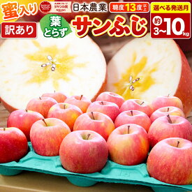【ふるさと納税】【先行予約】 りんご 葉とらずサンふじ ＜選べる約3kg〜10kg＞ 【2026年11月・12月 発送】 訳あり 蜜入り 平均糖度13度以上 家庭用 りんご リンゴ 果物 サンフジ 青森県産 [林檎 アップル 産地直送 葉とらず]