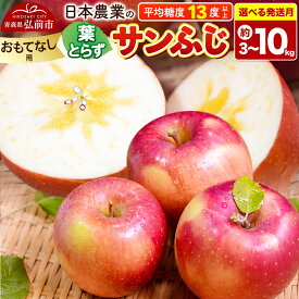 【ふるさと納税】りんご 平均糖度13度以上！ 葉とらずサンふじ 約5kg／約10kg おもてなし用【選べる容量＆発送月】青森 果物 フルーツ 林檎 リンゴ くだもの