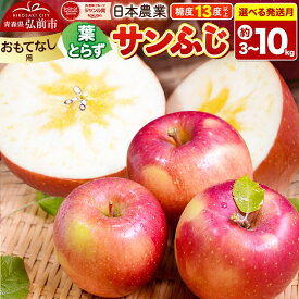 【ふるさと納税】りんご 葉とらずサンふじ 【おもてなし用】 【選べる約3kg〜10kg×27年 1月／2月 発送】 平均糖度13度以上 青森県産 [りんご 林檎 アップル 産地直送 葉とらず サンふじ おもてなし用 果物 フルーツ くだもの おいしい]