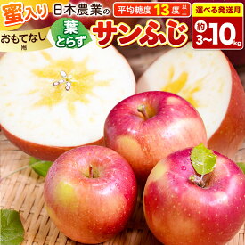 【ふるさと納税】りんご 葉とらずサンふじ 【おもてなし用】 【選べる約3kg〜10kg×26年 11月／12月 発送】 蜜入り 平均糖度13度以上 青森県産 [りんご 林檎 アップル 産地直送 葉とらず サンふじ おもてなし用 果物 フルーツ くだもの]
