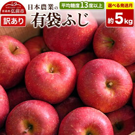 【ふるさと納税】りんご 平均糖度13度以上！ 有袋ふじ 約5kg 訳あり【選べる発送月】 CA貯蔵 青森 果物 フルーツ 林檎 リンゴ くだもの 不揃い 規格外