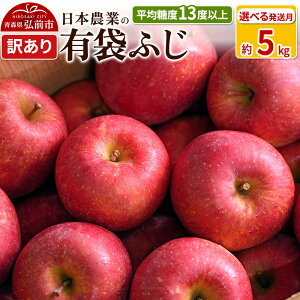 yӂ邳Ɣ[Łzyr[Ly[z ystzϓx13xȏI L܂ӂ 5kg 󂠂yIׂ锭z CA X ʕ t[c ь S  s KiO 