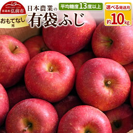 【ふるさと納税】りんご 平均糖度13度以上！ 有袋ふじ 約10kg おもてなし用【選べる発送月】 CA貯蔵 クール便 青森 果物 フルーツ 林檎 リンゴ くだもの