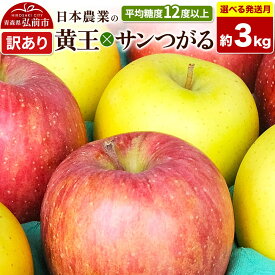 【ふるさと納税】りんご 黄王×サンつがる【訳あり】約3kg【選べる発送月】クール便 平均糖度12度以上 青森県産 果物 フルーツ 林檎 リンゴ くだもの 不揃い 規格外 [家庭用 産地直送 アップル 青森県 弘前市]