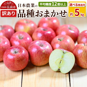 yӂ邳Ɣ[Łzyr[Ly[z ystz ϓx12xȏI i킨܂ 5kg 󂠂yIׂ锭zX ʕ t[c ь S  s KiO \